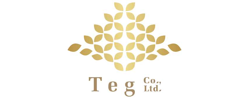 株式会社Teg